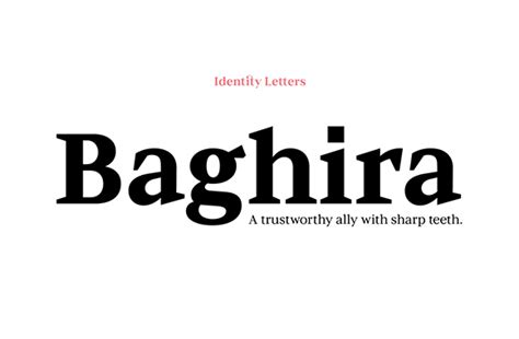 Font News New Font Release Identity Letters Released Baghira