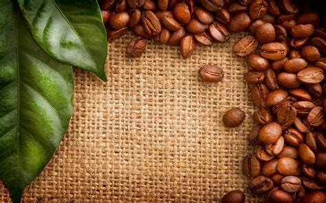 Coffee Beans Green Leaves Wallpaper 2880x1800 24105