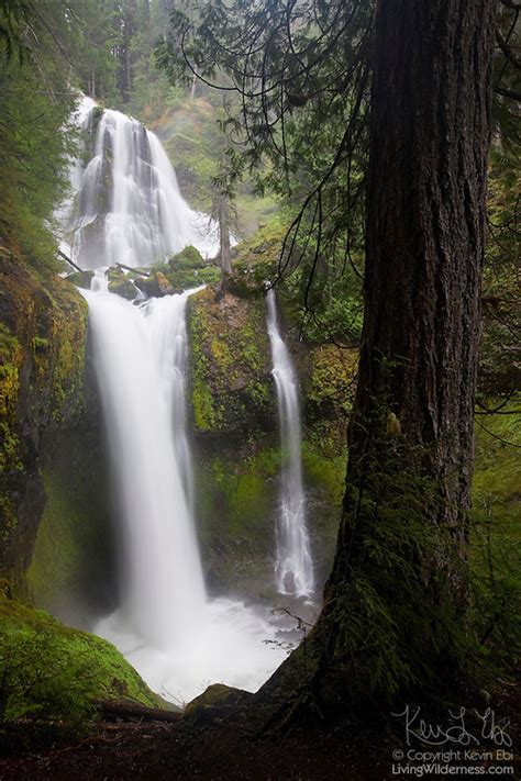 Falls Creek Falls Skamania County Washington Living Wilderness