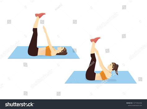 Woman Doing Toe Touch Stretches Exercise Stock Vector Royalty Free 1271052256 Shutterstock