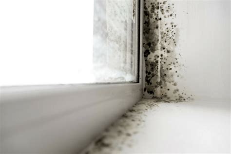 How To Remove Mold And Mildew Kitchen Infinity