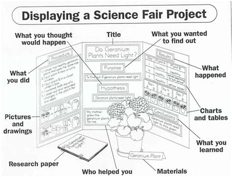 Science fair research paper example for sixth grade. Example of a science fair research paper outline - thesisabstract.x.fc2.com