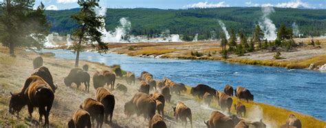 Yellowstone vacations offers multiple lodging options just minutes away from the park's west and north entrances. North Yellowstone, Montana Cabin Rentals & Getaways - All ...