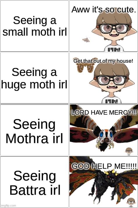 Moths Imgflip