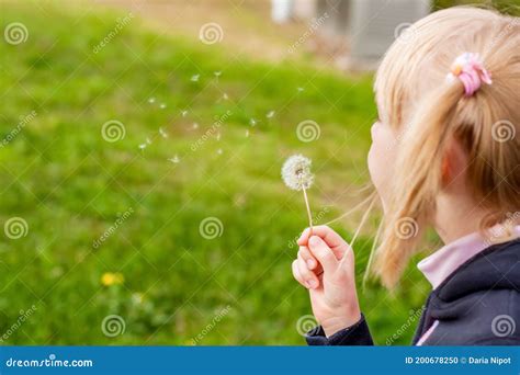 Close Up Of A Girl Blowing Dandelion Seeds Across A Fresh Green