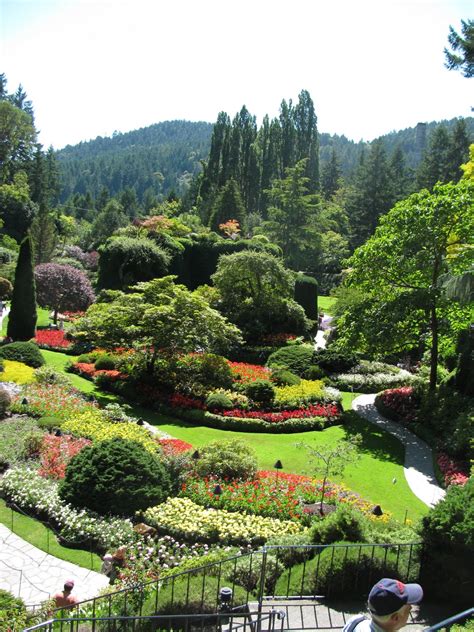 So expect expectations to be high from the loyal blooming public who enjoy sniffing the floral fragrances and. Wheelygoode's Travels Across Canada: Day 14 - Vancouver ...