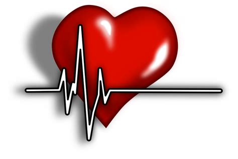 Download Cardiac Pulse Systole Royalty Free Vector Graphic Pixabay