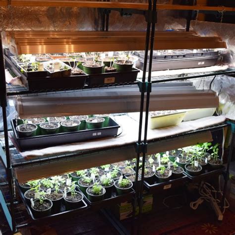 Jump start grow light system instructions. How To Build A DIY Grow Light System on a Budget