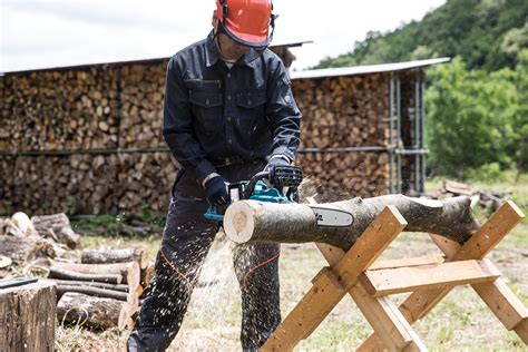 Cutting Down On Chainsaw Injuries Picture This Spanish Safetynow Ilt