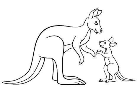 Awesome Kangaroo Coloring Page For Kids Free Kangaroo