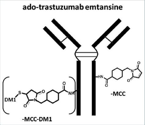 Schematic Of Ado Trastuzumab Emtansine Conjugation Modification Of Download Scientific Diagram