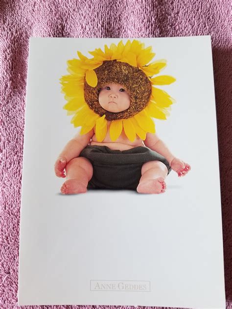 Anne Geddes Sunflower 1 Blank Greeting Card Etsy