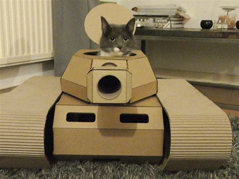 21 Hilarious Cats In Cardboard Tanks Barnorama