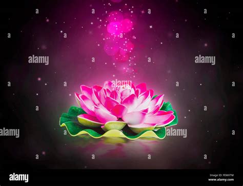 Dreamy Magic Lotus Flower With Sparkle In The Water Stock Photo Alamy