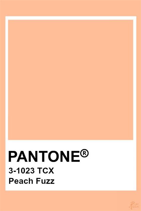 Pantone Peach Fuzz Paleta De Color Pantone Carta De Colores Pantone