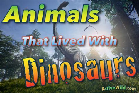 List Of Animals That Lived With Dinosaurs Information And Pictures