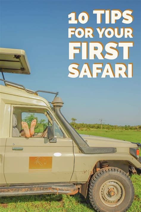 Guide To African Safari • 12 Safari Tips For First Timers Artofit