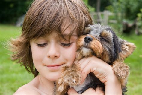 Best Dog Breeds For Kids Playful Dog Dog Breeders Guide