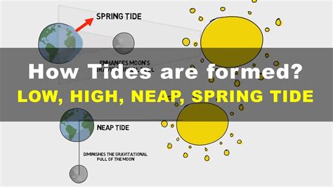 How Tides Are Formed Low High Neap Spring Tide Geography Upsc