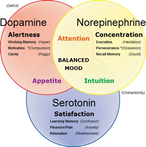 Adhd As Related To Dopamine Pictures