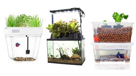 11 Best Home Aquaponics Kits Your Buyers Guide 2021
