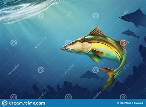 Snook Common Fish Mounts On Water At Depth Realistic Illustration