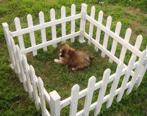 Check spelling or type a new query. Cheap Fence Ideas For Dogs In DIY Reusable And Portable ...