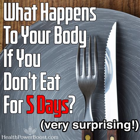 What Happens To Your Body If You Dont Eat For 5 Days Health Power Boost