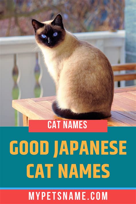 One japanese name could have dozens of meanings! When looking for inspiration for the good Japanese cat ...