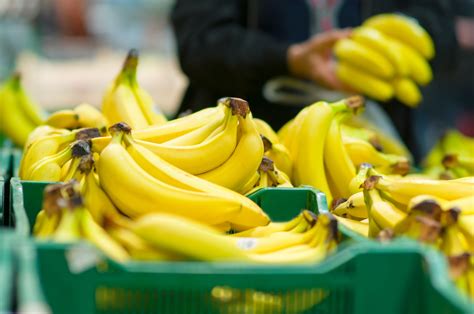 Rainforest Alliance Meeting Fails To Appease Latam Banana Industry