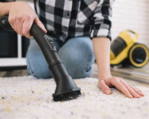 10 Best Vacuums For High Pile Carpets 2020 Updated Review