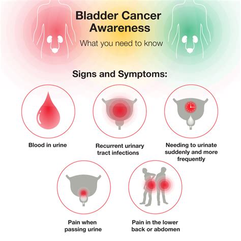 Does Bladder Cancer Show Up In Blood Tests Updated