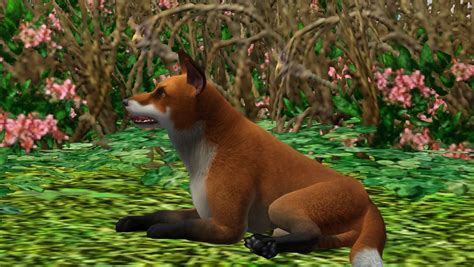 Mod The Sims The Red Fox Sims Pets Sims 4 Pets Dog Last Day