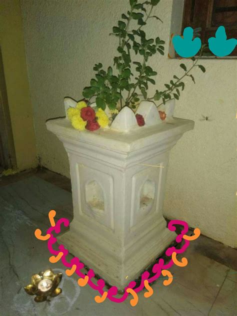 Pin By Madhulika Dhakaita On Plants Tulsi Pot Tulsi Plant Pooja