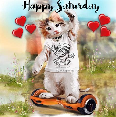 Cool Kitty Happy Saturday Quote Pictures Photos And