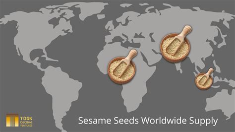 Sesame Seeds Harvesting Seasons A Guide To Learn When And Where To