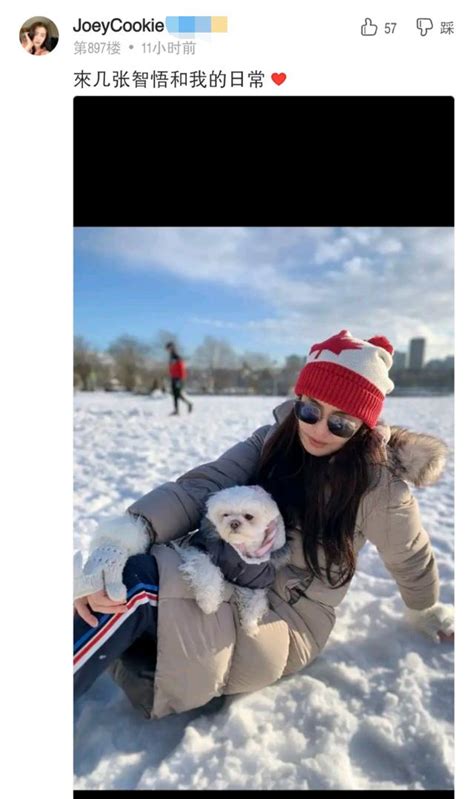 Check spelling or type a new query. 53岁王祖贤曝防疫近况, 雪地抱爱犬雪美翻了 网赞: 永远的小倩!