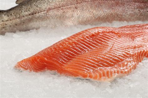 1kg Sea Trout Portions Approx 5 Portions Caseys Salmon Ltd