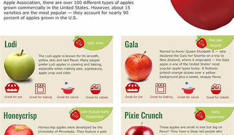 Types of Apples – Apple Varieties – Eckerts.com
