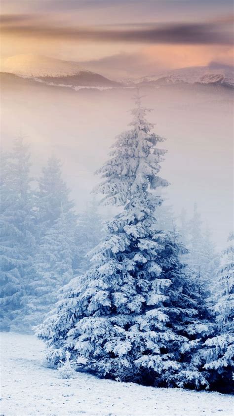 Wallpaper Trees 5k 4k Wallpaper Pines Mountains Snow Winter