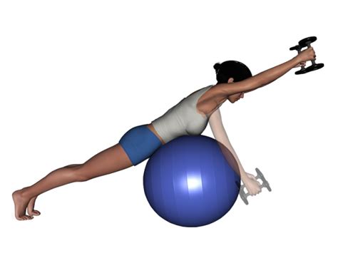 Stability Ball Exercises Stability Ball Prone Intermediate Bilateral