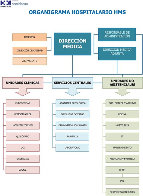 Los organigramas muestran la relación entre los miembros de una empresa, un grupo de personas o un árbol genealógico. Organigrama