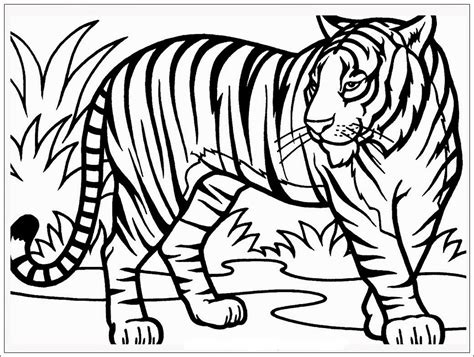 Gambar Mewarnai Binatang Harimau