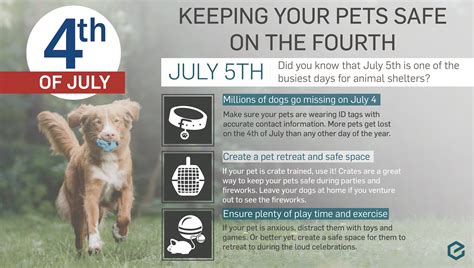 4th Of July Pet Safety Tips