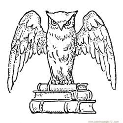owl coloring pages  kids printable   coloringpagescom