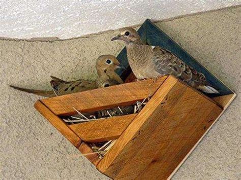Cardinal Doves Robins World Of Birdhouses Homemade Bird Houses