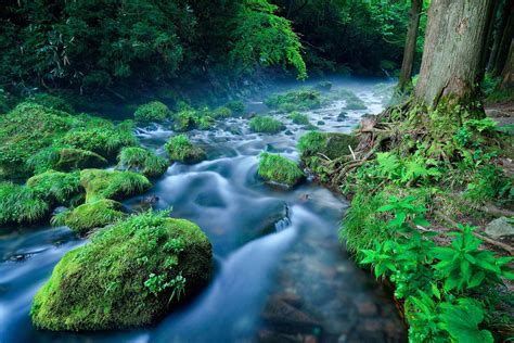 Wallpaper Landscape Waterfall Nature Plants Green River