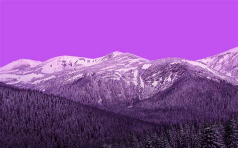 952119 Purple Trees Mountains Hills Landscape Forest Nature