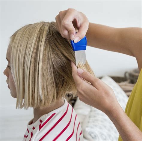 7 Best Head Lice Treatments 2020 How To Treat Nits