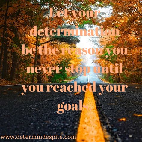 Let Your Determination Be The Reason You Never Stop Until You Reached